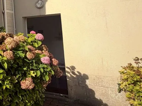 Entree du cabinet, massif d hortensias et porte ouverte