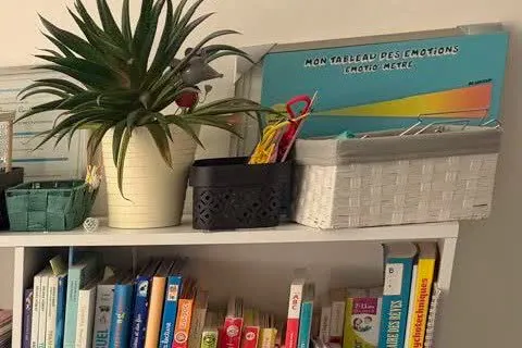 Tableau des emotions et plante posee sur la bibliotheque du cabinet